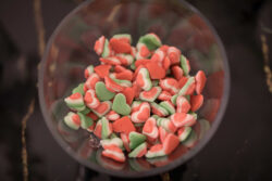 پذیرایی لاکچری