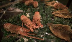 پذیرایی لاکچری