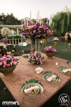 باغ پذیرایی