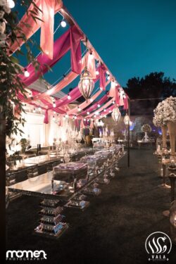 باغ پذیرایی