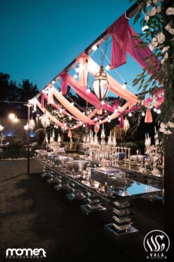 باغ پذیرایی