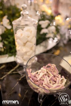 پذیرایی لاکچری