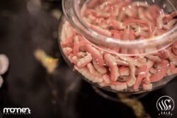 پذیرایی لاکچری